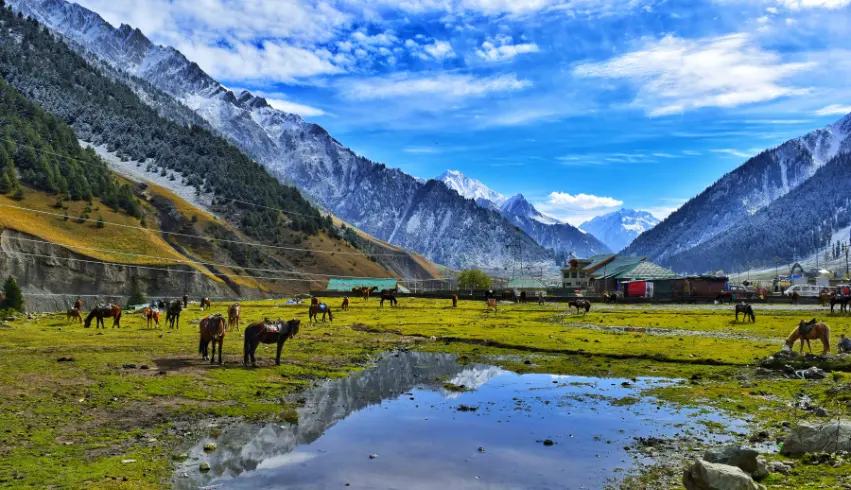 Kashmir Tour Packages For Couple