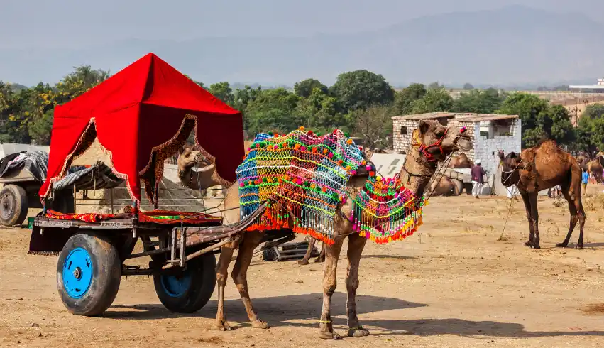 Jaipur Ajmer Tour Package